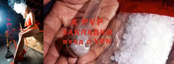 сатива Беслан
