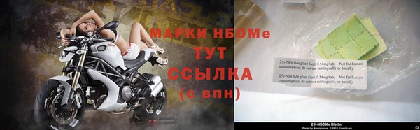 гидра Билибино