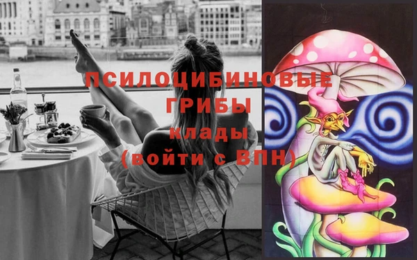 ALPHA-PVP Бикин