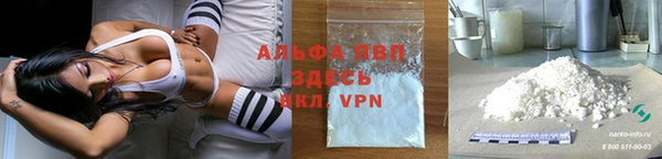 гидра Билибино