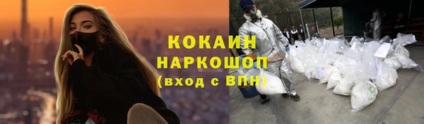 гидра Билибино