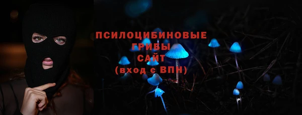 сатива Беслан