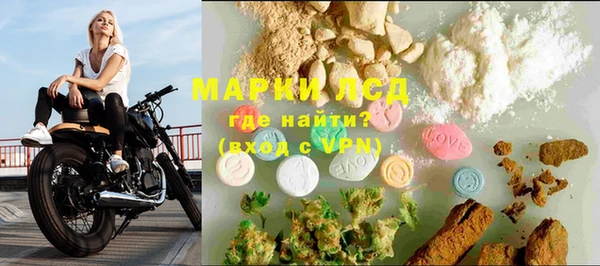 гидра Билибино