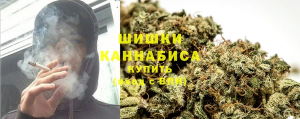 сатива Беслан