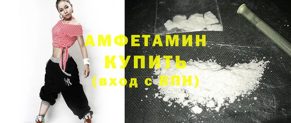 гидра Билибино