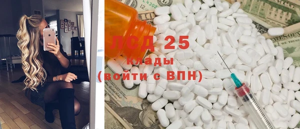 гидра Билибино
