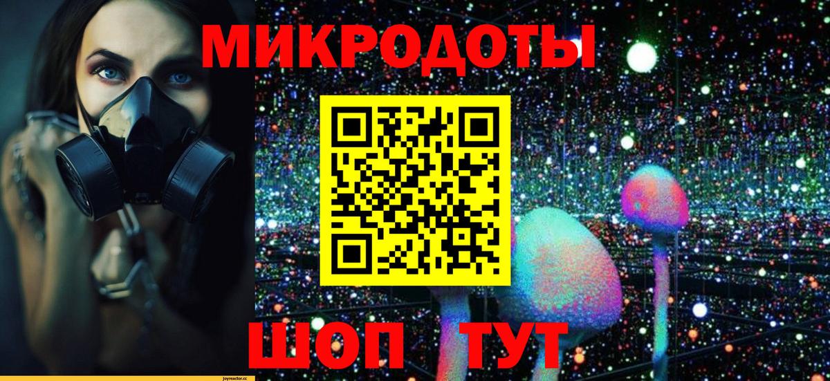 Псилоцибиновые грибы Cubensis  Псилоцибиновые грибы GOLDEN TEACHER  Вольск 